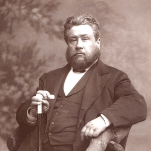 spurgeon_chair1